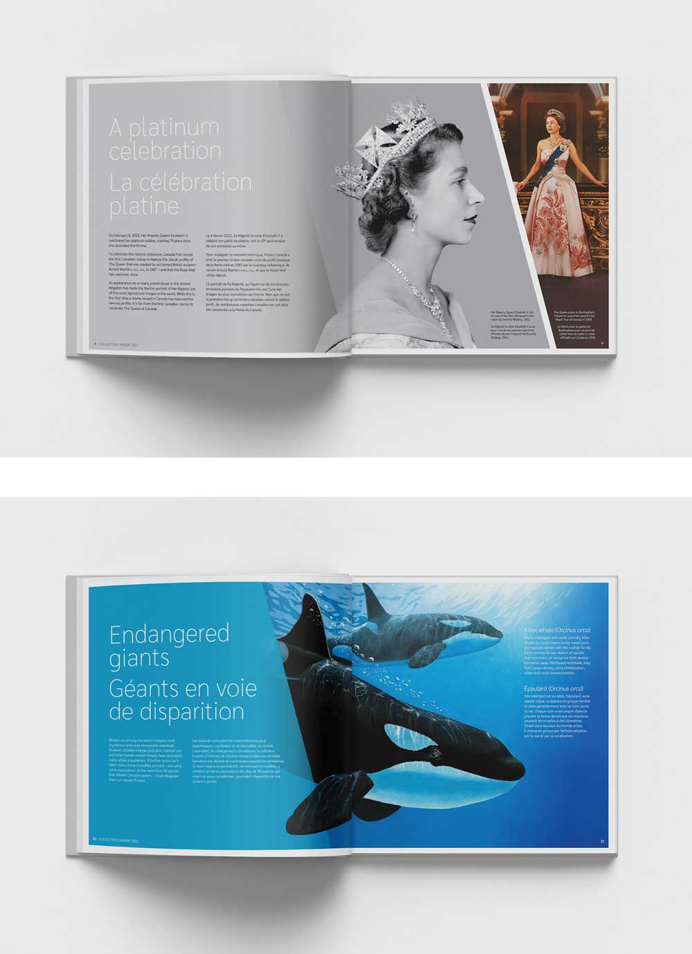 Design by Ariane Bédard