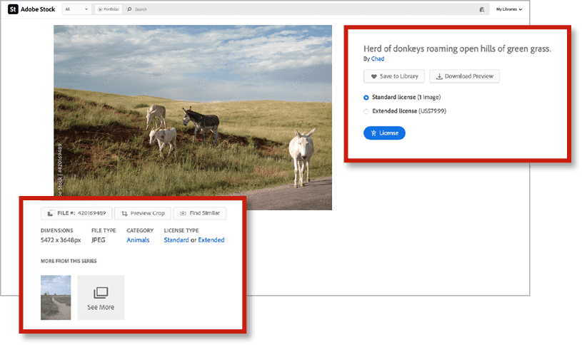 Figure 5. Preview mode includes such asset details as dimensions, license, licensing information, download information, and a link to the contributor’s available assets.