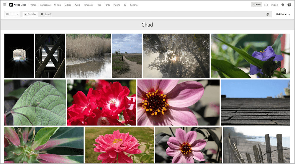 Figure 6. A view of a contributor’s assets available on Adobe Stock