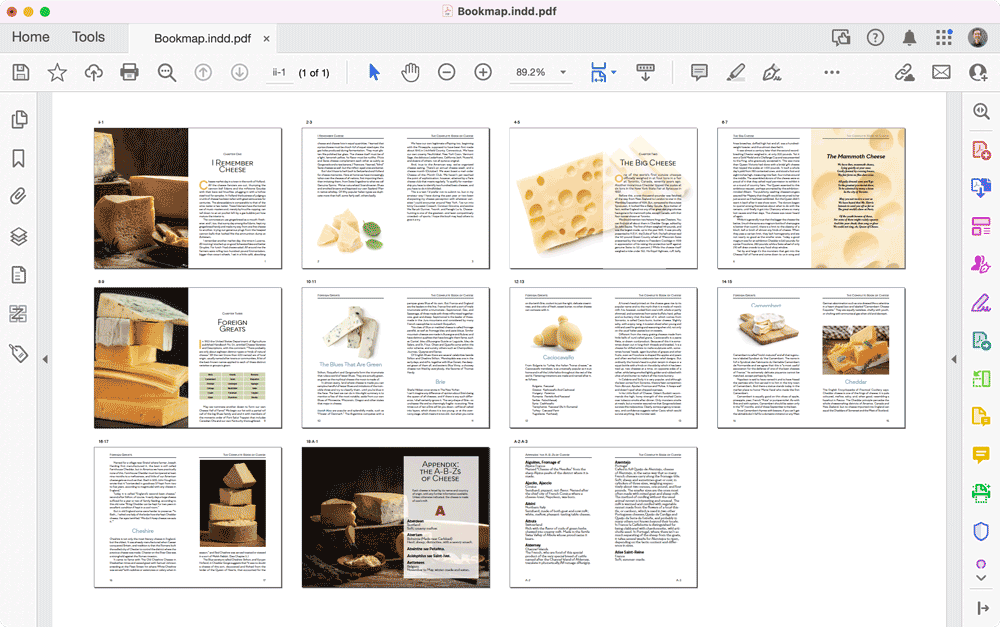 PDF book map of book pages designed in Adobe InDesign