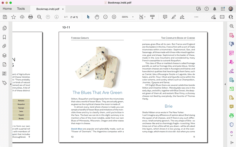 close-up view of a spread in a PDF book map of a book designed in Adobe InDesign