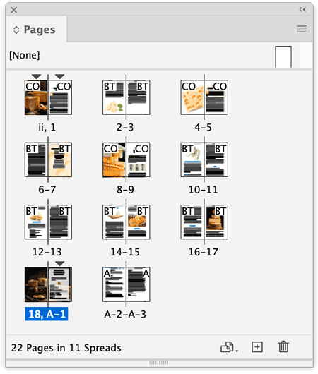 Pages panel in Adobe InDesign showing a book document with 22 pages in 11 facing pages spreads