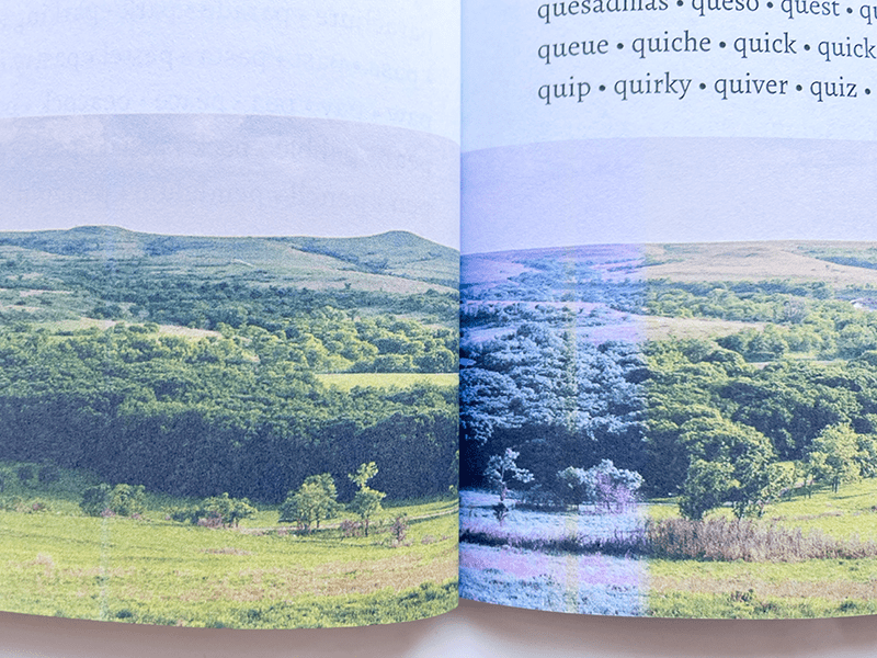 Figure 7. Amazon KDP printed one photo with significant discoloration.