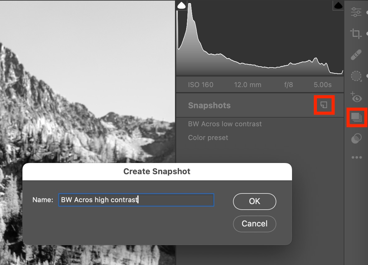 The Camera Raw interface showing the Snapshots panel and a Create Snapshot dialog with the words "BW Acros high contrast" in the text field.