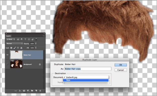 Figure 6. Creating a new layer to create a new document
