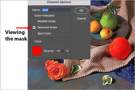 Figure 5. You can customize the color and opacity of the overlay when an alpha channel is viewed on top of the composite.
