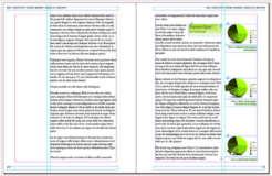 Working with Anchored Objects in InDesign