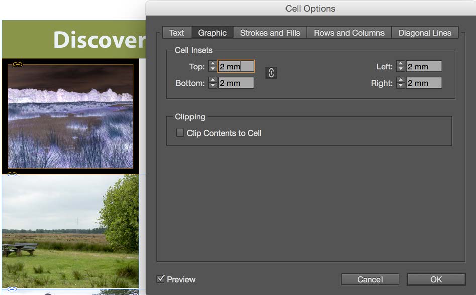 Same table as in the last few figures. A different image is in cell at first row and column. Image has a link icon at upper left. Cell options dialog box shown with Graphic section active. Cell insets 2mm for left, right, top, bottom. Focus is on Top value. Preview checkbox is on.