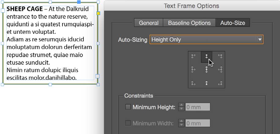 Selected text frame with green rule equally spaced around perimeter of text, with Text Frame Options dialog box. Auto Size section options shows Auto sizing set for Height Only (focus on this field). Anchor proxy set to top center.