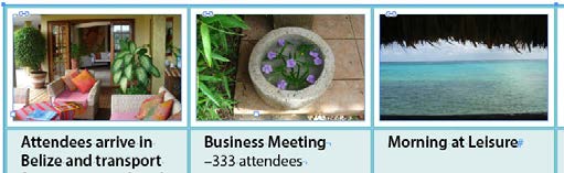 "After" shows the same cells only with a small amount of white space around the perimeter of the image.