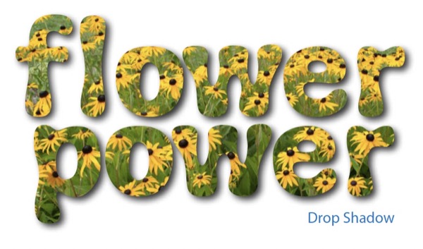The words "flower power" stacked on two lines, with the black-eyed Susans photo from figure 1 filling the glyphs. The Drop Shadow filter has been applied to it.