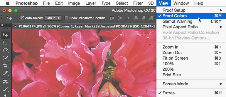 Under View menu, Proof Colors is highlighted and checked.
