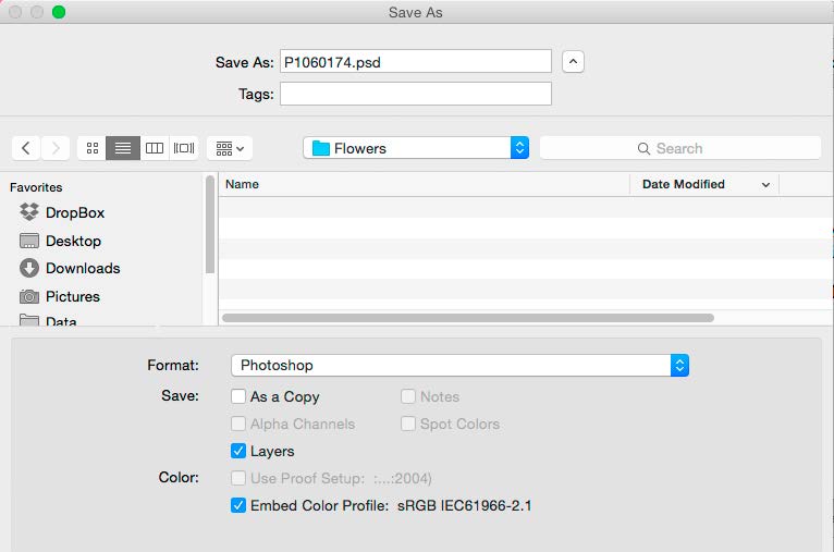Save As dialog box shows filename P1060174.psd in the Save As field. Settings: Format: Photoshop; Save: As a Copy unchecked; Layers checked. Color: Embed Color Profile sRGB IEC61966-2.1 is checked.