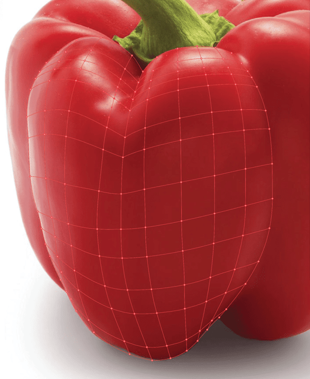 Screenshot of the mesh lines to create the first mesh grid.