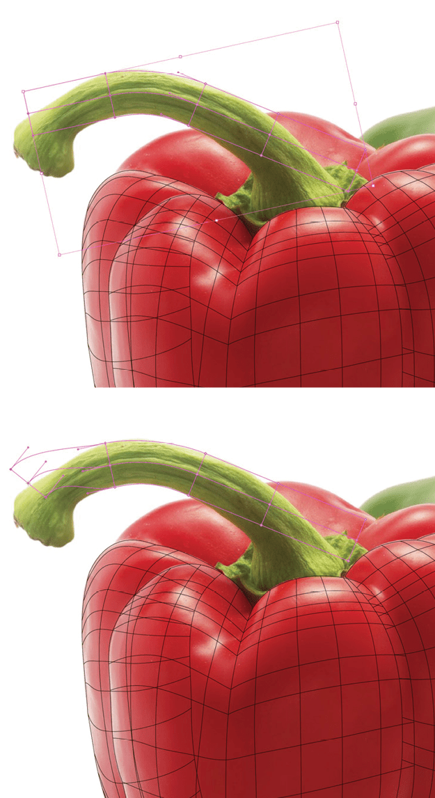 Two copies of top of red pepper detail show the positioning of the points in the gradient mesh following the curvature of the stem.