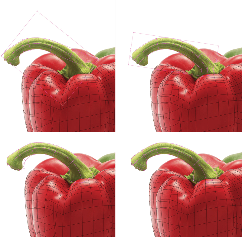 Four photos show the sequence of adjusting the gradient mesh for the stem to follow the outline of the stem shape and the center line matching the center of the stem.
