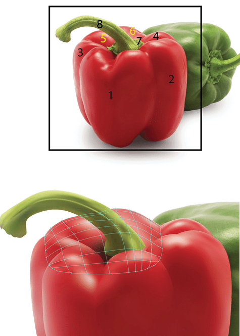 Top photo: Reference of the numbered regions (1-8) of the red pepper, with numbers 5 and 6 highlighted in yellow. Bottom photo shows mesh lines for regions 5, 6.
