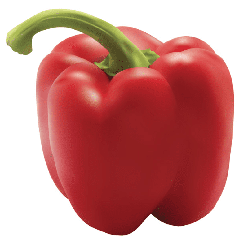 The final rendering of the red pepper.