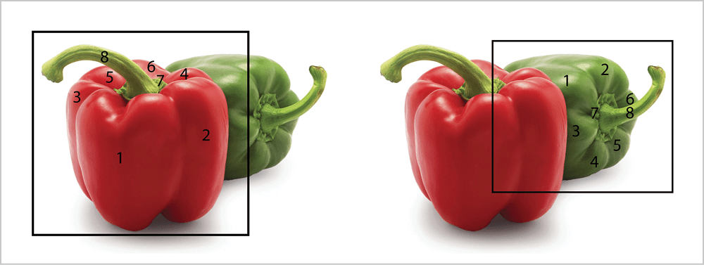 Two copies of the peppers photo side by side. Left shows black ruled box isolating red pepper and black numbers 1-8 keying different parts of the pepper's anatomy. The right photo shows the black ruled box around the green pepper with the same range of numbers showing the corresponding parts of the green pepper, which is lying on its side.
