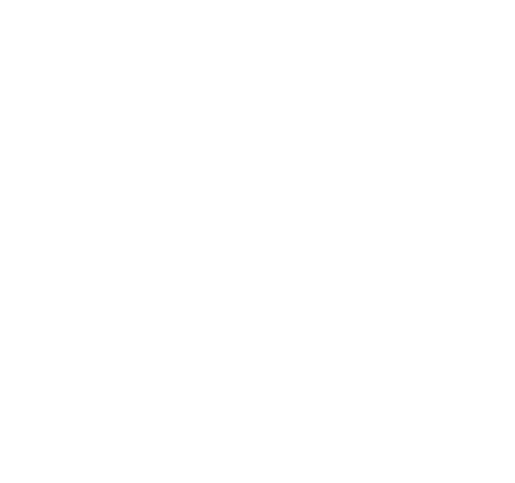 priint logo