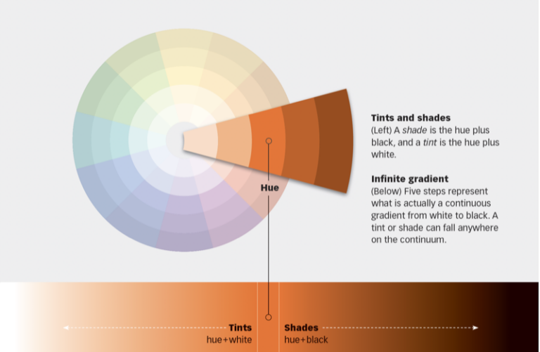 Before&After: Our Color Wheel