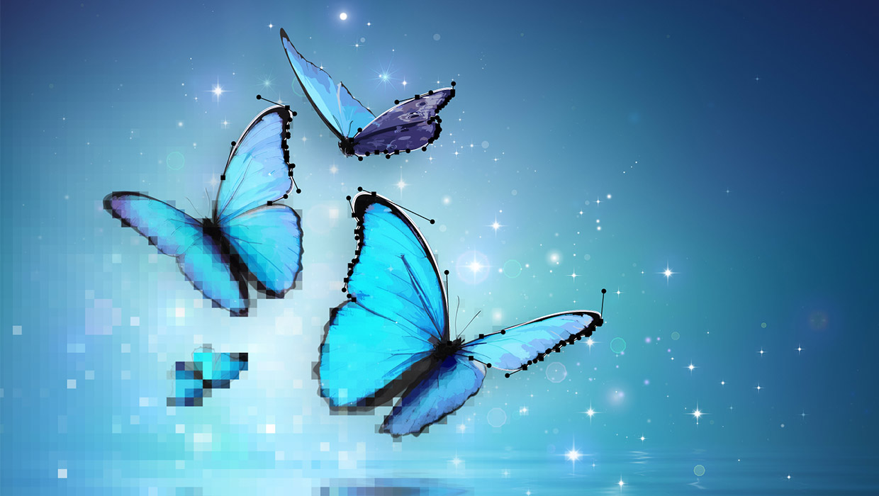 Vectorizer.ai review