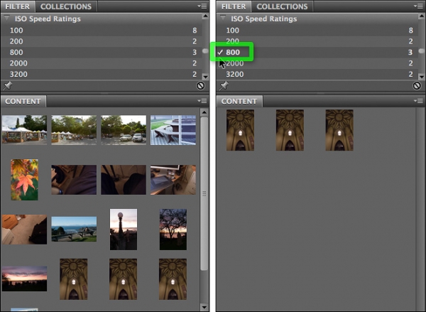 Using the Filter panel to display only images shot at ISO 800 in Adobe Bridge